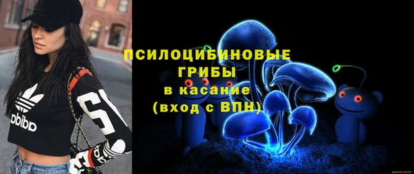 PSILOCYBIN Верхний Тагил